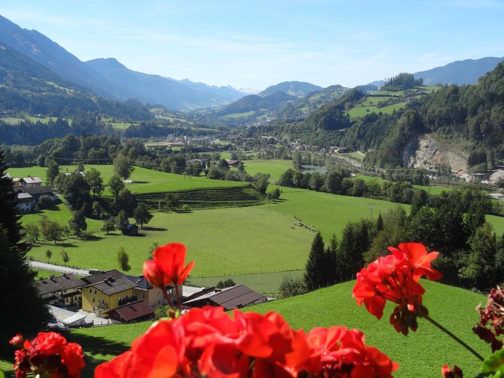 Pension Appartements Reithof Sankt Johann im Pongau Quarto foto
